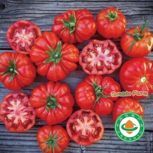 【有机帕尔马番茄】个个沙瓤有机帕尔马番茄马蹄非转基西红柿顺丰