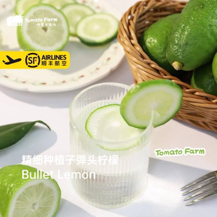 精细种植子弹头柠檬原生态无农残不打蜡顺丰京东包邮·五斤装新鲜