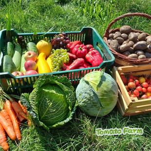 宝宝辅食婴儿孕妇月子餐蔬菜箱·单次体验·生态健康安心·9斤箱