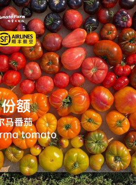 帕尔马番茄马蹄品种非转基因番茄 · 月份额 每周一份|  一份三斤