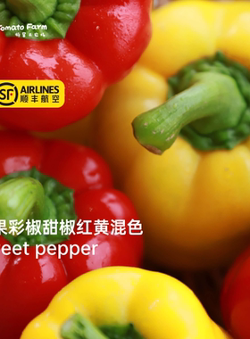 法国引种甜椒生吃Sweet pepper水果彩椒新鲜甜椒红黄混色顺丰纯甜