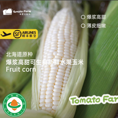 【有机水果玉米 北海道原种】爆浆高甜可生食新鲜有机水果玉米4斤