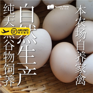 初生鸡蛋宝宝辅食婴儿孕妇月子·单次体验· 生态健康安心 ·30枚