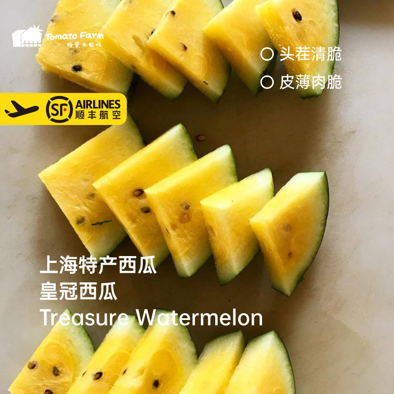 【上海特产西瓜】头茬清脆皇冠西瓜皮薄黄肉Treasure Watermelo
