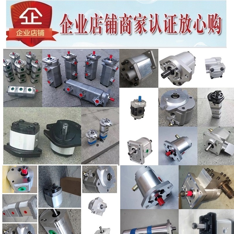 齿轮油泵GHP1-D-6-FG GHP1-D-7-FG GHP1-D-8-FG GHP1-D-9-FG