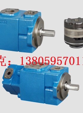 海特克HIGH-TECH叶片泵PVL13-8-52-F-1R-UU-10 60 66 76 PV2R13