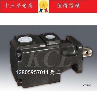 B25 B14 6R00 B17 B31 B28 B20 B22 台湾凯嘉KCL油泵KT6GC