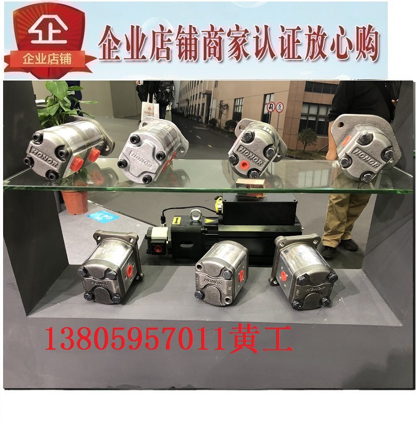 台湾钰盟honor齿轮泵1GG1P13L