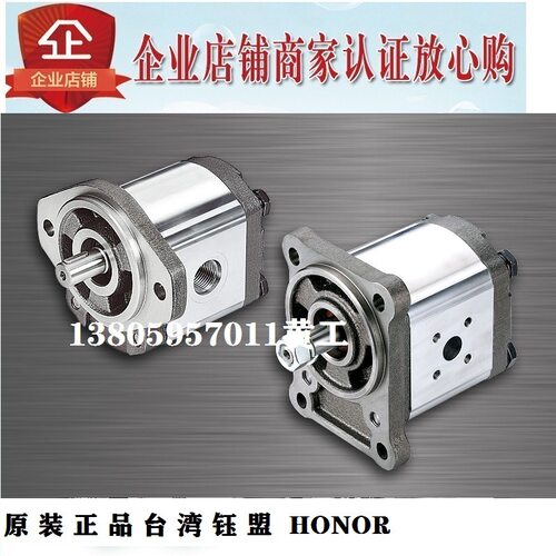 台湾钰盟HONOR齿轮泵2GG9P04R 9U 9N 9B 9F 9E 9Z 9Y 9W 2GG9P