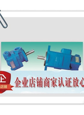 银川长城液压叶片泵V20-12 V20-13 V2010 V2020