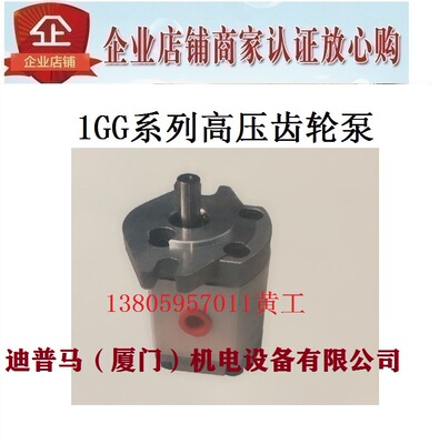 齿轮泵1GG1P09R1GG1P11R