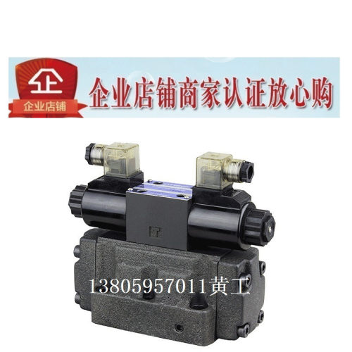 LITAND LYOUTIAN电磁阀SW-G06-C6B-A240-10/20 G04 D24 E ET G10