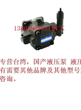 台湾北部精机Northman叶片泵HVPVC-F30-A2 A3 A4 A5 HVPVC-F40