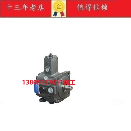 RISUNY朝田叶片油泵VE1-30F-A3