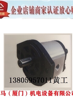 高压齿轮泵2GG1P18R 2GG1P20R 2GG1P22R 2GG1P24R 2GG1P26R 2 7 9