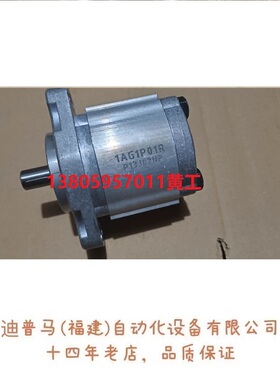 全新原装正品台湾钰盟HONOR齿轮泵1GG1P01R 1AG1P01R