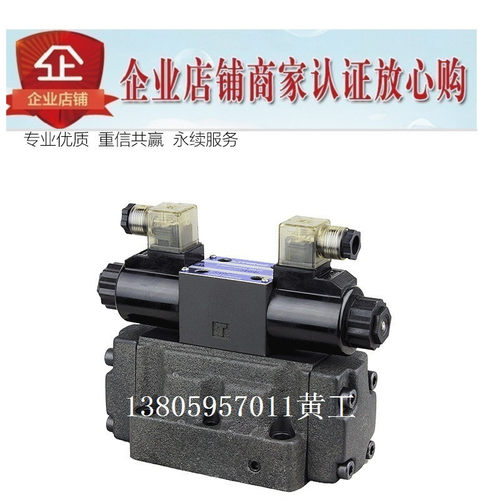 LITAND LYOUTIAN电磁阀SW-G06-N3-A240-10/20 G04 D24 E ET T G10