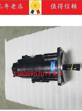 美国DENSION丹尼逊油泵T6CCW-017-008-1R02-C100叶片泵双联液压泵