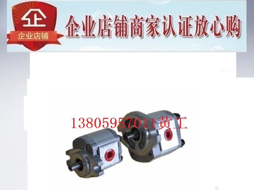 台湾康百世KOMPASS齿轮泵P104RN01GT P104RP01GT P104RU01GT F