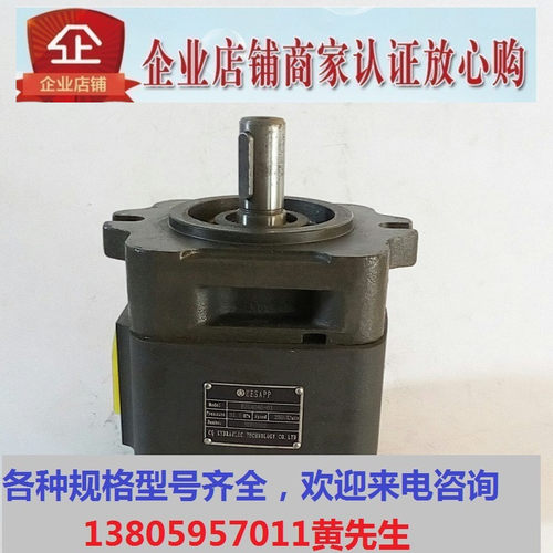 HESAPP油泵BIG4050H-A01FR-1 BIG4064H-A01FR-1 BIG3040H-A15FR-