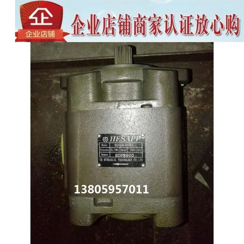 原装HESAPP液压油泵BIG4050H-A01FR-1 BIG4030H  BIG4040H