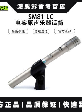 舒尔电容舞台麦克风乐器话筒舞台