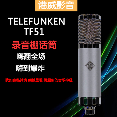 Telefunken德律风根 TF51大振膜电子管麦克风