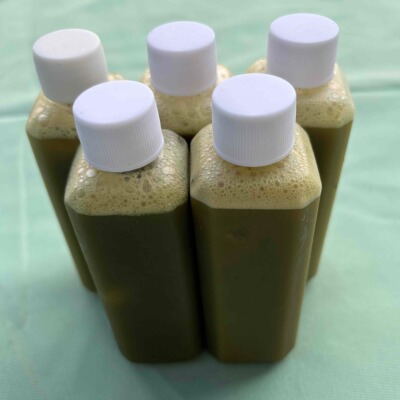 青皮核桃汁青龙衣冷冻保存