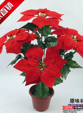 仿真花卉假花 圣诞花樱花 一品红22厘米花绒布5头7头加密展厅布置