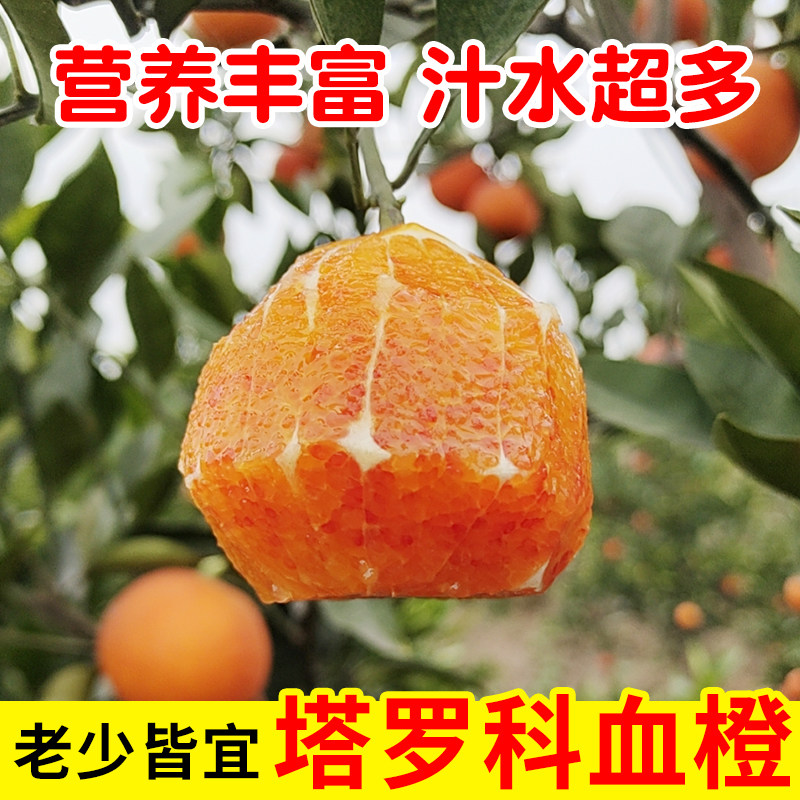 正宗四川塔罗科血橙新鲜水果大小果当季整箱现摘甜水果孕妇橙子,水产肉类/新鲜蔬果/熟食,橙,淘宝优惠券,粉丝福利购,淘宝优惠卷