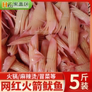 火箭鱿鱼生鲜商用铁板烧鱿鱼新鲜冷冻深海生批发火锅食材水发鱿鱼
