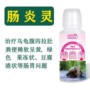 乌龟肠炎药治疗乌龟腹泻拉稀粪便呈白色黄色绿色果冻状松散不成型