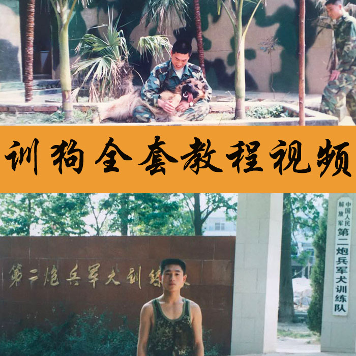 训狗教程视频训犬师教程大全专业书正版泰迪金毛拉多马犬边牧哈奇