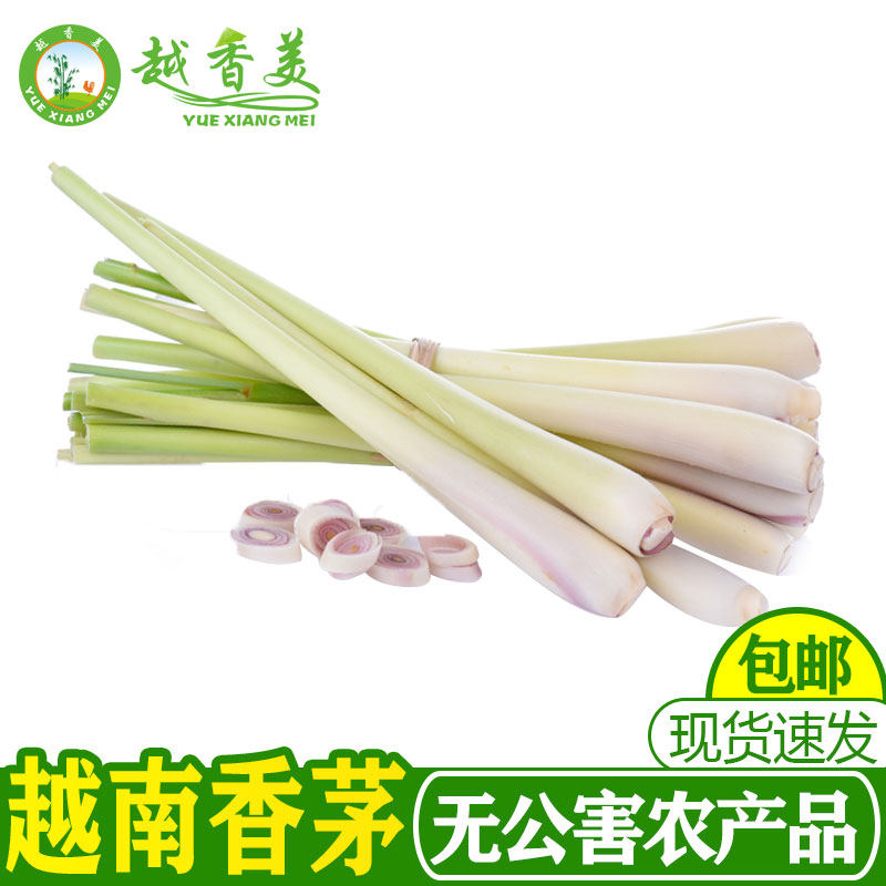 【越香美】越南香茅草新鲜柠檬草去腥冬阴功汤料饮品500克