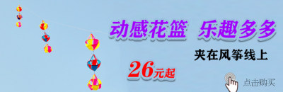 飞悦大黄蜂风筝大型二2平三3平成人大人专用微风易飞准专业新款