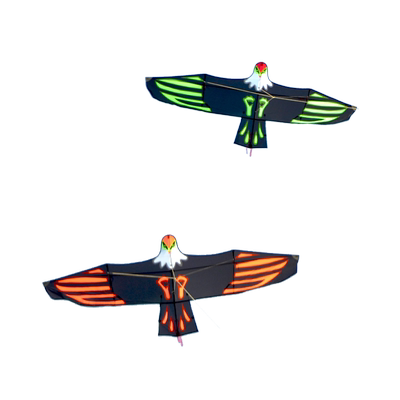 飞悦风筝板鹰老鹰风筝抗大风