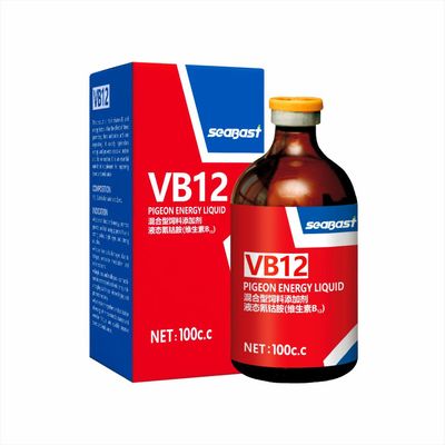 赛巴斯赛特壮VB12赛信鸽子路训比赛前后病后快速恢复用提状态