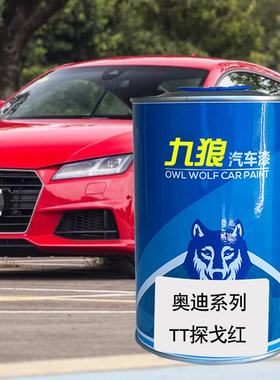 九狼汽车钣金喷漆奥色漆迪成品改色TT4店S漆探戈红白色橙色水晶银