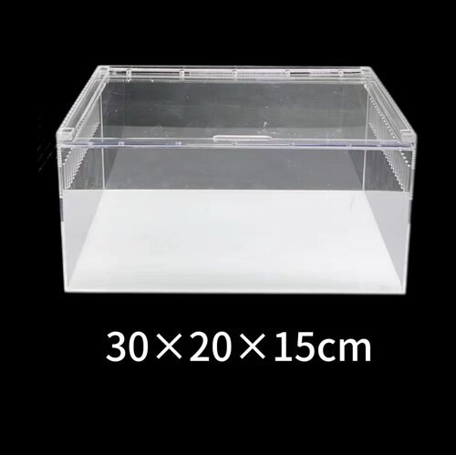 角蛙亚克力饲养箱守宫蜘蛛爬宠盒
