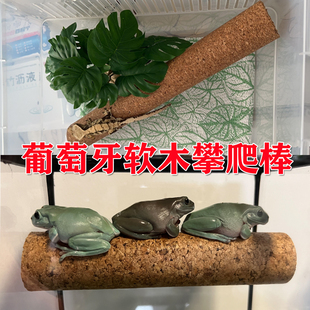 软木棒棍R属巨人盖勾亚睫角守宫姥爷树蛙攀爬用爬宠造景装饰木藤