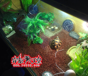 火山石红土矿石垫材陆龟豹猫守宫蜥蜴爬宠爬虫荒漠垫材保湿透气好