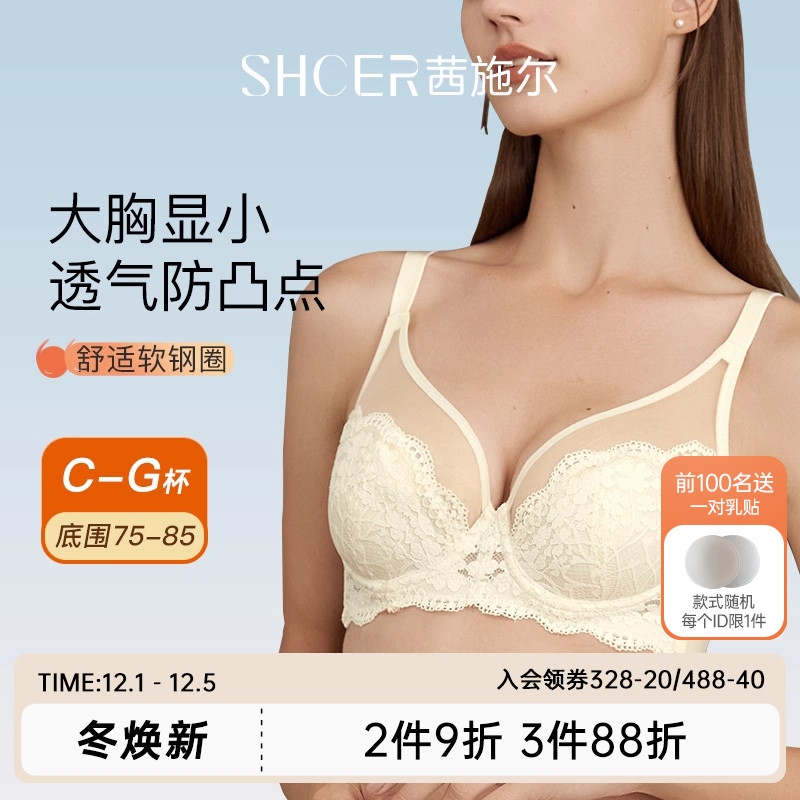 茜施尔舒适透气聚拢大胸显小文胸