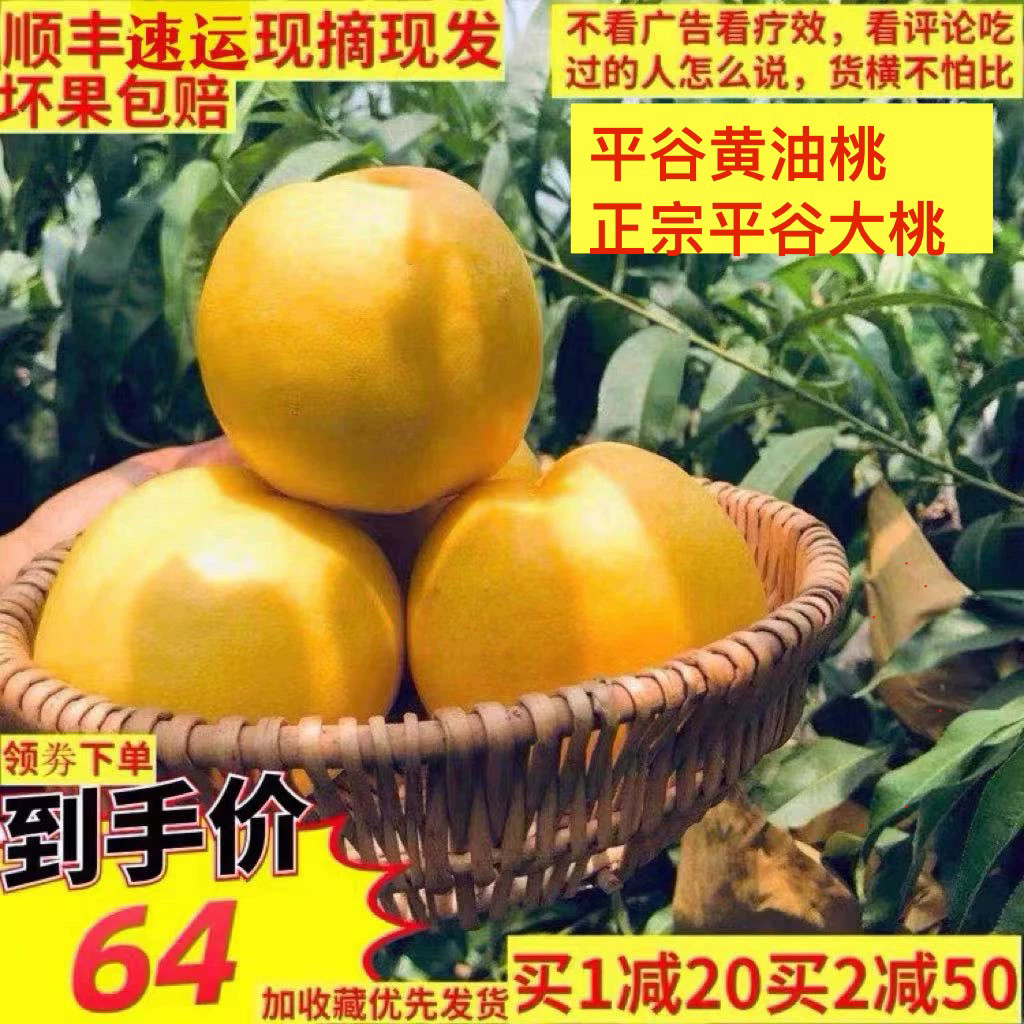 北京平谷黄油桃多汁软甜现摘礼盒