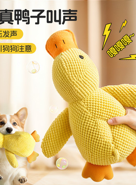 狗狗玩具毛绒发声幼犬小狗宠物比熊泰迪柯基磨牙耐咬自嗨解闷