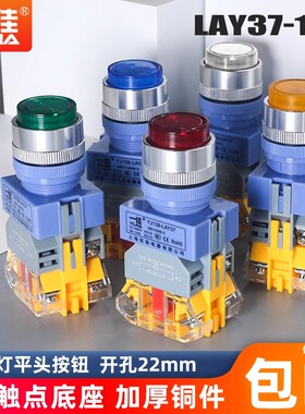 一佳电源启动自锁带灯按钮开关带锁24V220VLAY37Y090-11DNZS 22mm