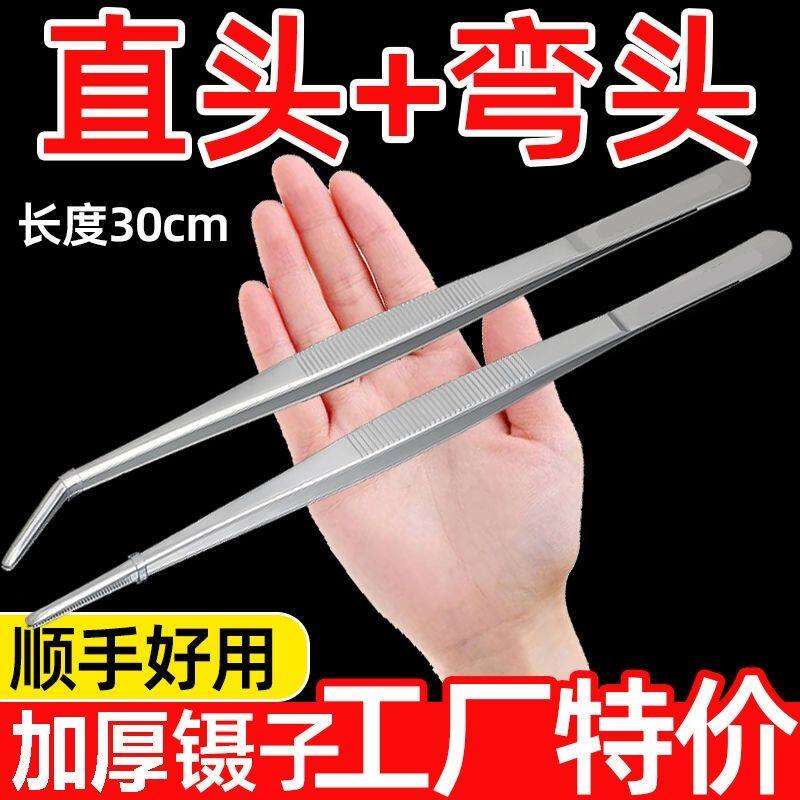 镊子不锈钢种多肉夹水草加厚圆直头加长镊子捉虫蝎子动物喂食弯头
