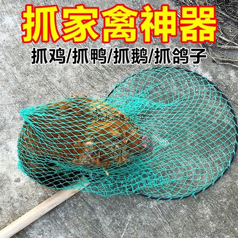 鸡专用网户外捕流浪猫鸭网兜抄网捉猫鹅捕鸡套网扣