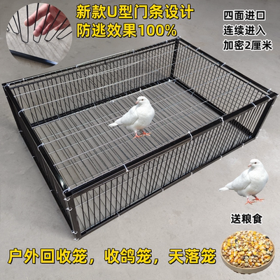 天落笼户外家用屋顶厂房回收鸽子笼活络撞门信鸽自动门进鸽子神器
