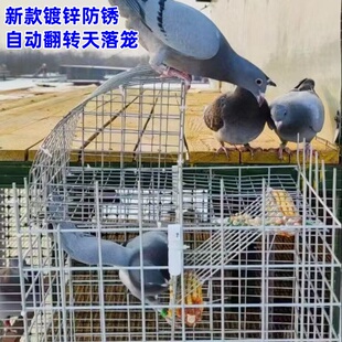 鸽子笼天落笼收鸽笼自动左右翻转连续进鸽笼屋顶阳台户外防雨防锈