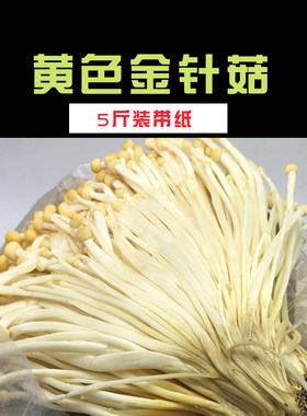 火锅食材新鲜黄色金针菇